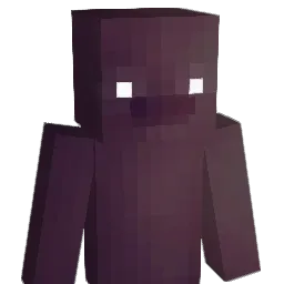 denial8736 Minecraft avatar bust