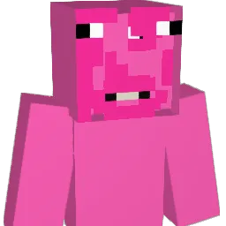 denize66 Minecraft avatar bust