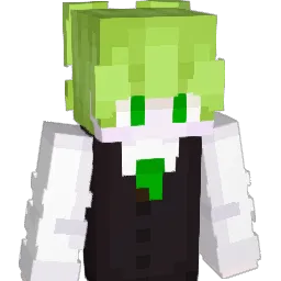 derderqwe1337 Minecraft avatar bust