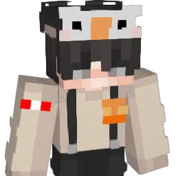 derzocker70 Minecraft avatar bust
