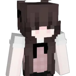 desi018 Minecraft avatar bust