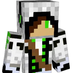 desperados37100 Minecraft avatar bust