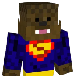 destintrent19 Minecraft avatar bust