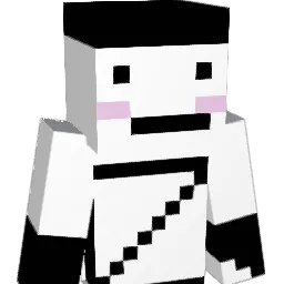 destirity's Minecraft skin