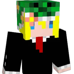 devenli123 Minecraft avatar bust