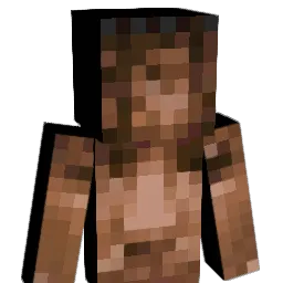 dexxstrument Minecraft avatar bust