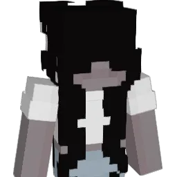 dezign's Minecraft skin
