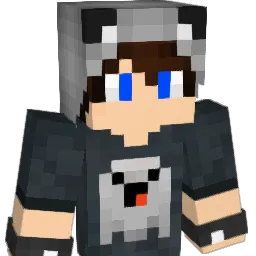 dfRogers Minecraft avatar bust