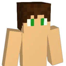 dfergswims's Minecraft skin