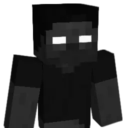 dfm123456 Minecraft avatar bust