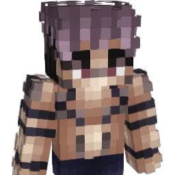 dgoper's Minecraft skin