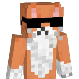 dhcraft_196 Minecraft avatar bust