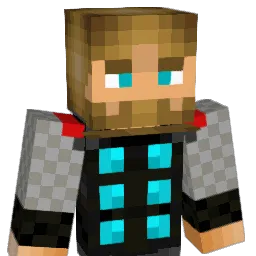 dhedtke24 Minecraft avatar bust