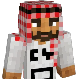 dhruvm5 Minecraft avatar bust