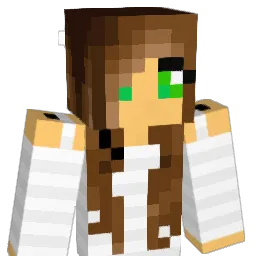 diamond5032 Minecraft avatar bust