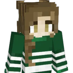 diamond_fire25 Minecraft avatar bust