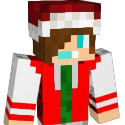 diamond_lord11 Minecraft avatar bust