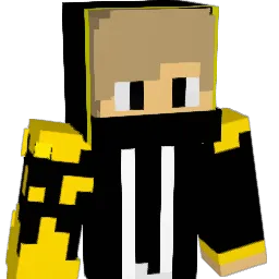 diamondcoin Minecraft avatar bust