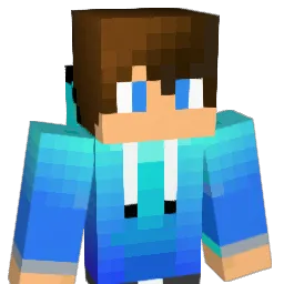 diamondcraft30 Minecraft avatar bust