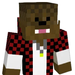diamondmaster785 Minecraft avatar bust