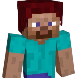 diamondsgalore09 Minecraft avatar bust
