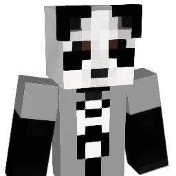 diamondthief007 Minecraft avatar bust