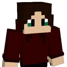 diamondxy3 Minecraft avatar bust