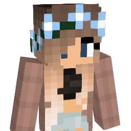 dianaa8 Minecraft avatar bust
