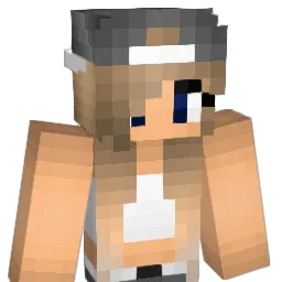 dianaross123 Minecraft avatar bust