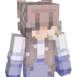 diaryplug