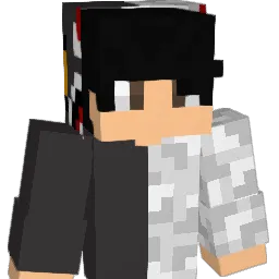 dictionry Minecraft avatar bust
