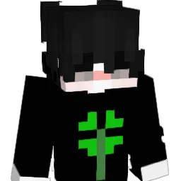did_2137 Minecraft avatar bust