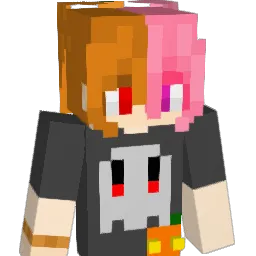 did_d Minecraft avatar bust