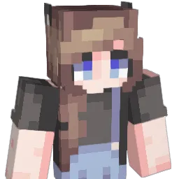 dida_233 Minecraft avatar bust