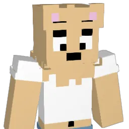diddybagel Minecraft avatar bust