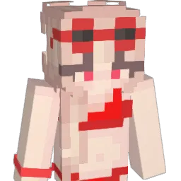 dideo Minecraft avatar bust