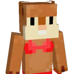 didi2134 Minecraft avatar bust