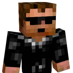 didicr4ft Minecraft avatar bust