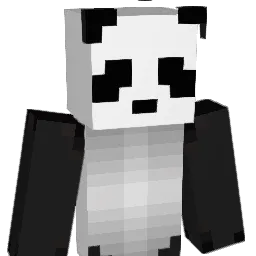 didier2nd's Minecraft skin