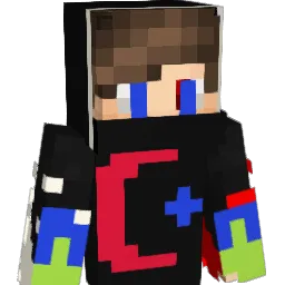 didiss05 Minecraft avatar bust