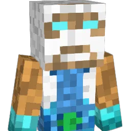 didy7178 Minecraft avatar bust