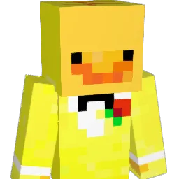 didyisme67 Minecraft avatar bust