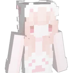 die1s's Minecraft skin