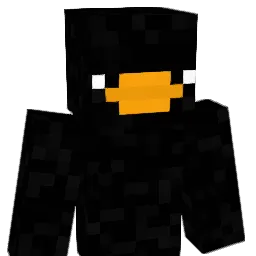 dieseEnte3 Minecraft avatar bust