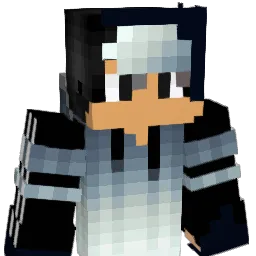 diidelphiis Minecraft avatar bust