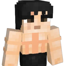 dikked6969 Minecraft avatar bust