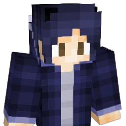 dilet3d Minecraft avatar bust
