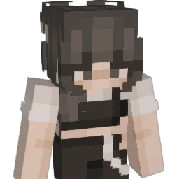 dillo1029 Minecraft avatar bust