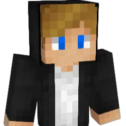 dimsvm Minecraft avatar bust