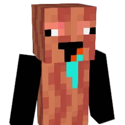dingdongtatty Minecraft avatar bust